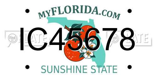 IC45678 Florida License Plate