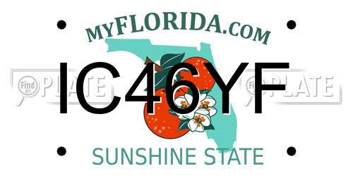 IC46YF Florida License Plate