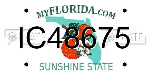 IC48675 Florida License Plate
