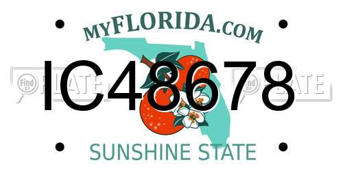 IC48678 Florida License Plate