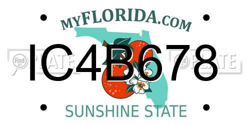 IC4B678 Florida License Plate