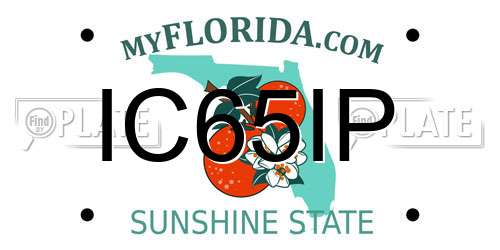 IC65IP Florida License Plate