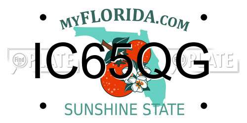 IC65QG Florida License Plate