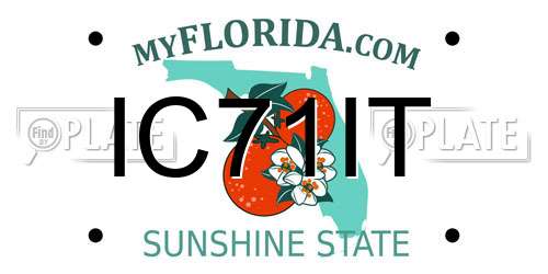 IC71IT Florida License Plate