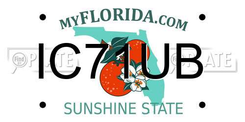 IC71UB Florida License Plate