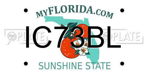 IC73BL Florida License Plate