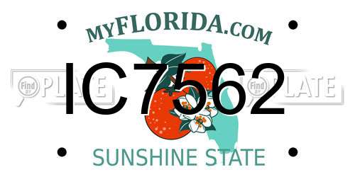 IC7562 Florida License Plate
