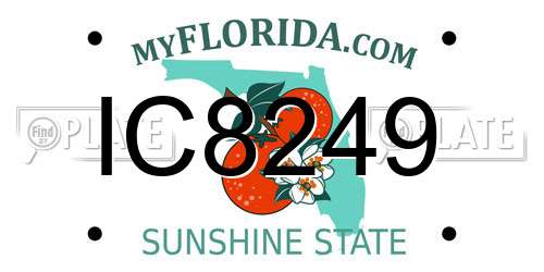 IC8249 Florida License Plate