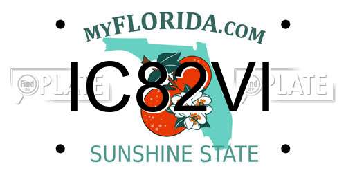 IC82VI Florida License Plate