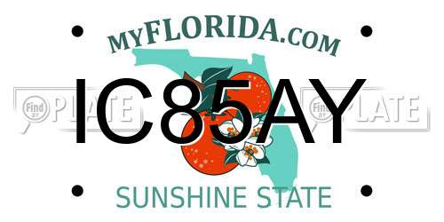 IC85AY Florida License Plate