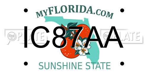 IC87AA Florida License Plate