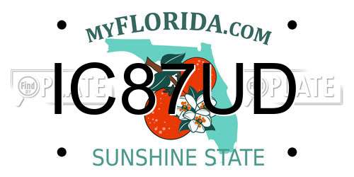 IC87UD Florida License Plate