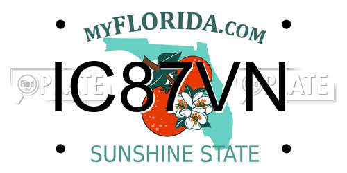 IC87VN Florida License Plate