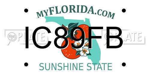 IC89FB Florida License Plate
