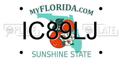 IC89LJ Florida License Plate
