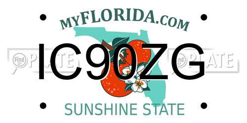 IC90ZG Florida License Plate