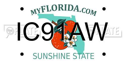 IC91AW Florida License Plate