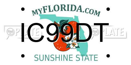 IC99DT Florida License Plate