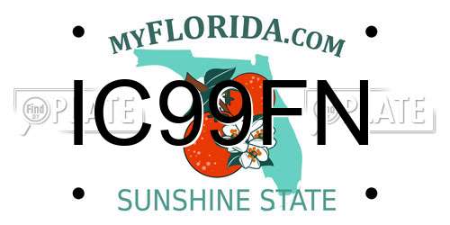 IC99FN Florida License Plate