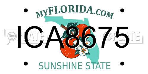 ICA8675 Florida License Plate