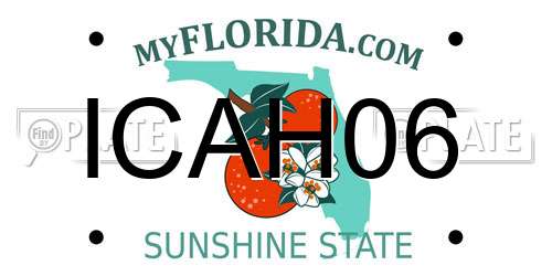 ICAH06 Florida License Plate