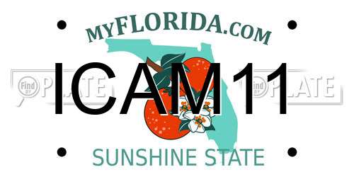 ICAM11 Florida License Plate