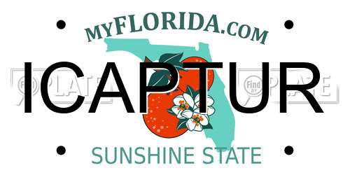 ICAPTUR Florida License Plate