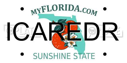 ICAREDR Florida License Plate