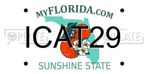 ICAT29 Florida License Plate