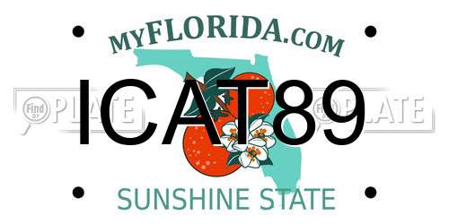 ICAT89 Florida License Plate