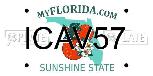 ICAV57 Florida License Plate