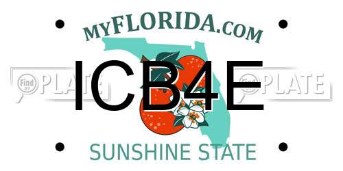 ICB4E Florida License Plate