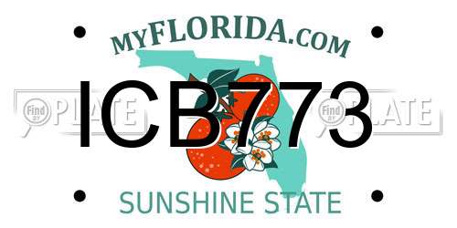 ICB773 Florida License Plate