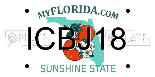 ICBJ18 Florida License Plate