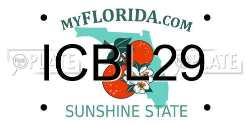 ICBL29 Florida License Plate