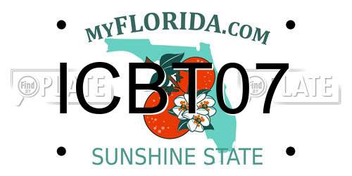ICBT07 Florida License Plate