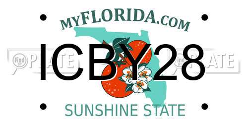 ICBY28 Florida License Plate