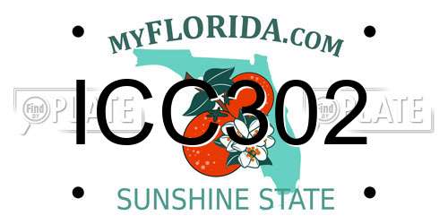 ICC302 Florida License Plate