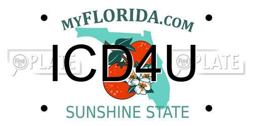 ICD4U Florida License Plate