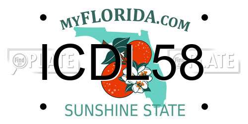 ICDL58 Florida License Plate