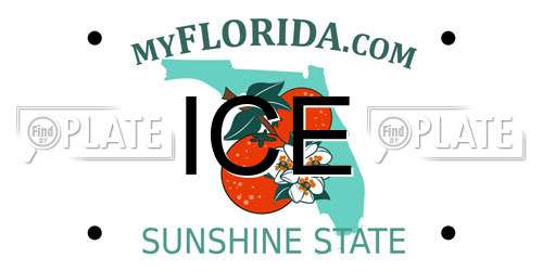 ICE Florida License Plate