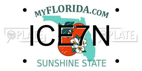 ICE7N Florida License Plate
