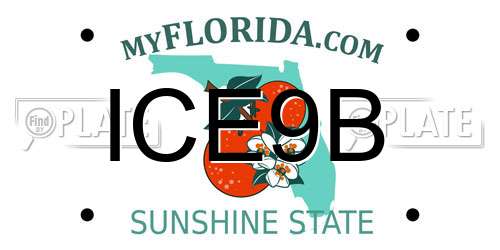 ICE9B Florida License Plate