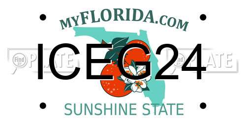 ICEG24 Florida License Plate