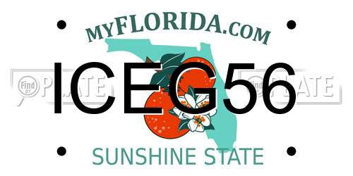 ICEG56 Florida License Plate