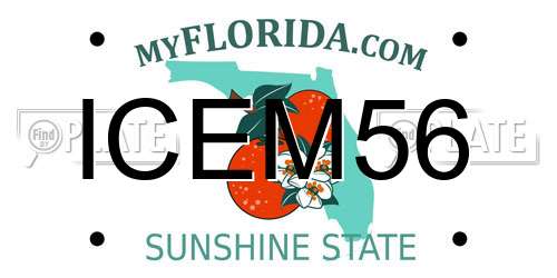 ICEM56 Florida License Plate