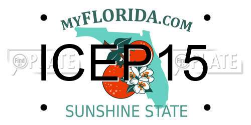 ICEP15 Florida License Plate