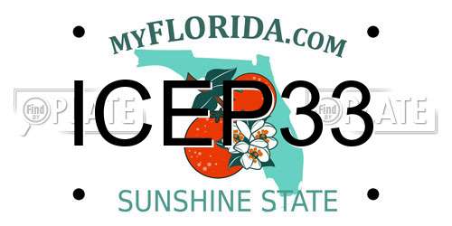 ICEP33 Florida License Plate