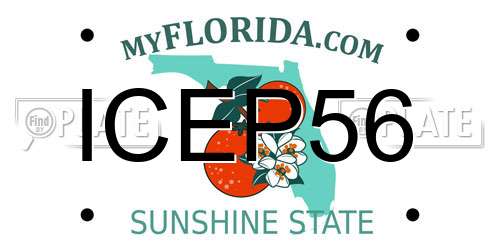 ICEP56 Florida License Plate