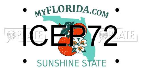 ICEP72 Florida License Plate